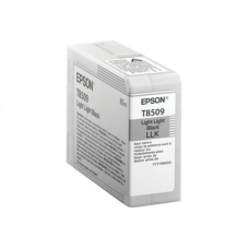 Epson SureColor SC-P800 Light Grey, 80 ml (C13T850900)